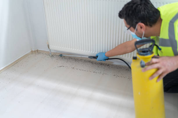 Best Bed Bug Extermination  in Whitmire, SC